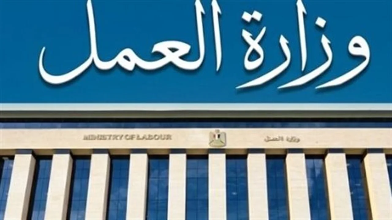 فتح التوظيف.. 100 وظيفة لمراقبي أمن وتخصصات إدارية جديدة